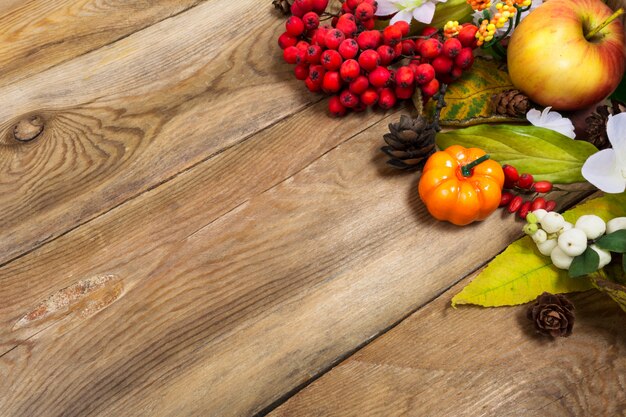 Sfondo autunno con zucca, mela, foglie di autunno, bacche di sorbo, copia spazio