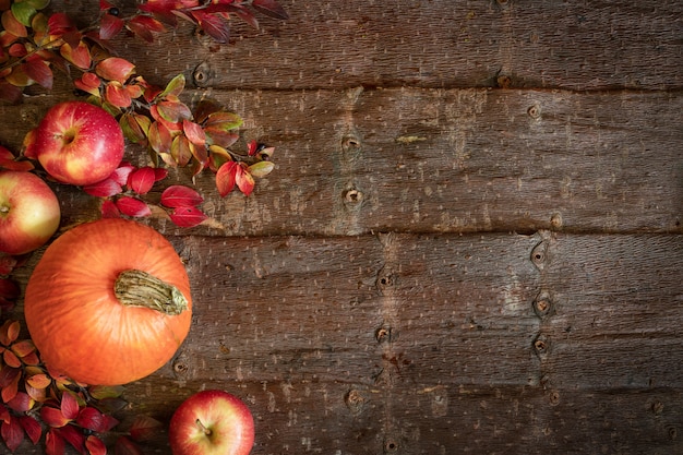 Sfondo autunno con zucca, mele e rami con foglie colorate su sfondo naturale corteccia di albero.