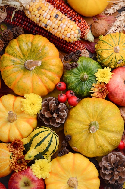 Sfondo autunno con zucche, vista dall&#39;alto.