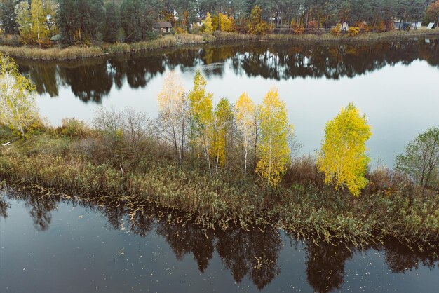 sfondo autunno