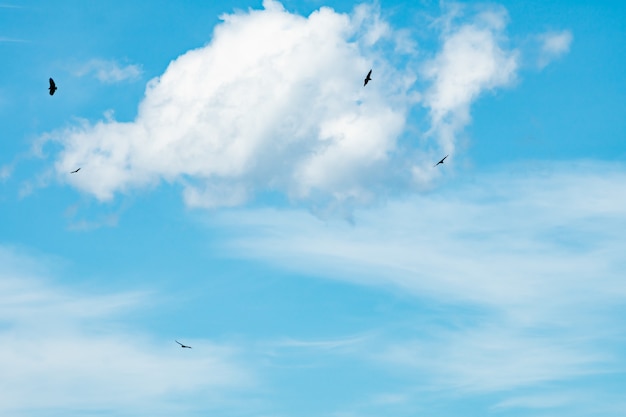 Sfondo azzurro del cielo con belle nuvole