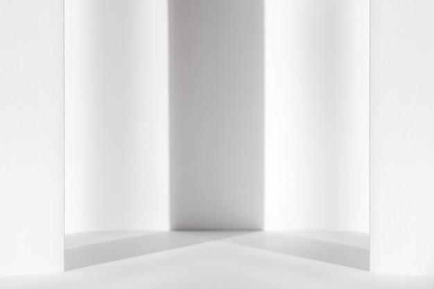 Sfondo bianco astratto per studio 3d per la presentazione di prodotti cosmetici Stanza grigia vuota con ombre di finestra Visualizza il prodotto con sfondo sfocato