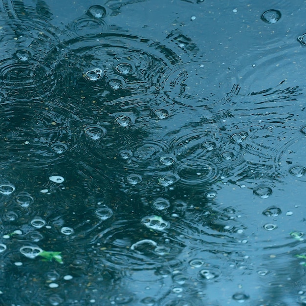 sfondo blu pozza di pioggia / gocce di pioggia, cerchi su una pozzanghera, bolle nell'acqua, il tempo è autunno