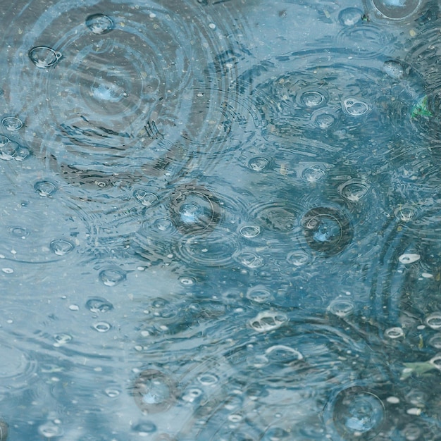 sfondo blu pozzanghera di pioggia / gocce di pioggia, cerchi su una pozzanghera, bolle nell'acqua, il tempo è autunno