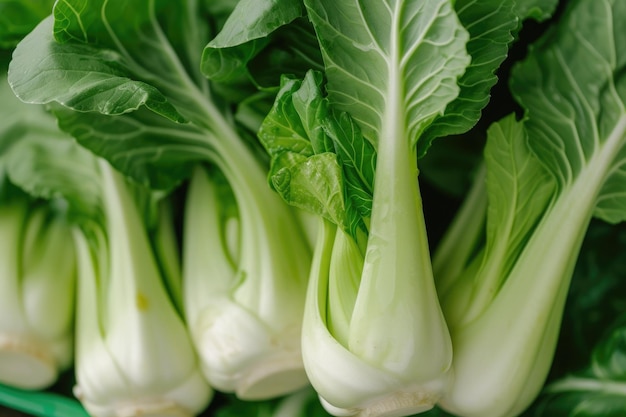 sfondo bok choy da vicino