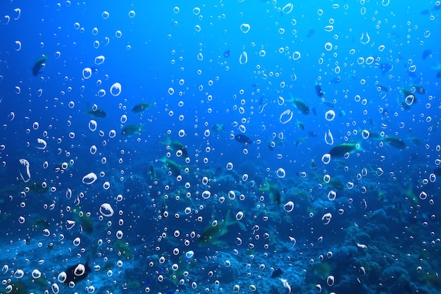 sfondo bolle d'aria subacquee barriera corallina / sfondo astratto mare, immersioni, natura, oceano