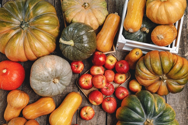 Sfondo colorato autunno con zucche e mele