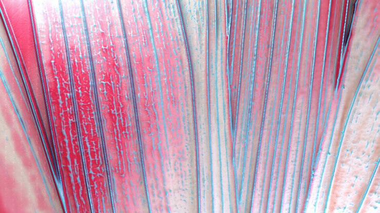 Foto sfondo colorato colorato uno sfondo luminoso mescolato con vernici e rilievi