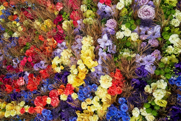 Sfondo colorato fiori estivi. Vista dall'alto
