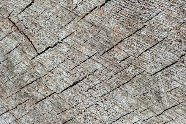 Sfondo da struttura in legno