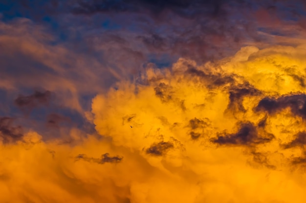 Sfondo da un luminoso tramonto colorato con nuvole e un uccello in volo Foto di alta qualità