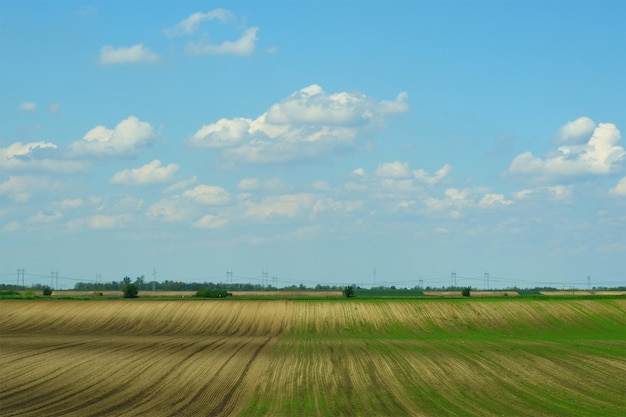 Sfondo da una terra arabile e il cielo con le nuvole