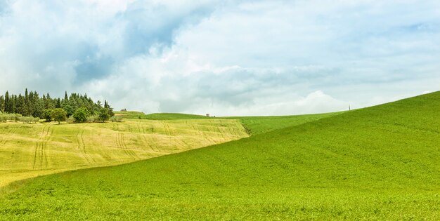 Sfondo del campo verde con cielo blu