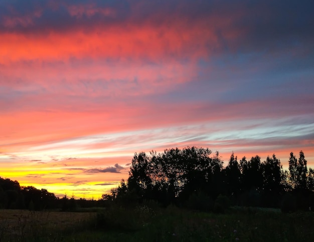 Sfondo del cielo al tramonto. Bellissimo paesaggio estivo in campagna.