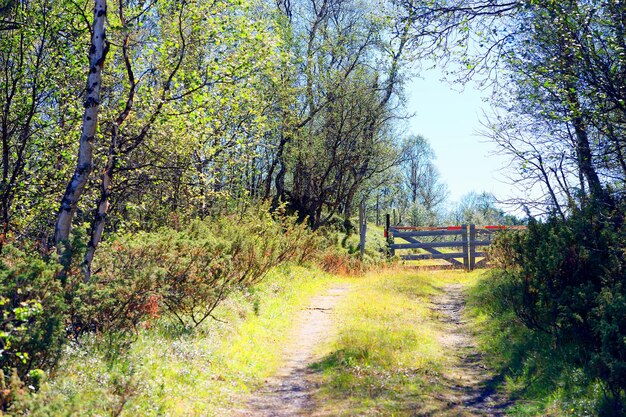 Sfondo del paesaggio del cancello d'ingresso della fattoria hd