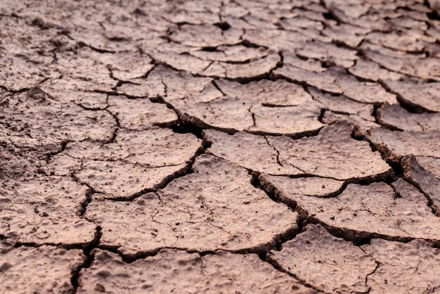 Sfondo del terreno asciutto