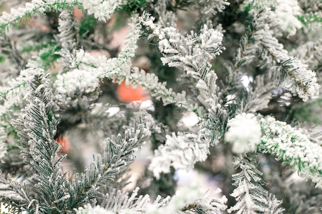 Sfondo dell'albero di Natale con neve Focalizzazione selettiva