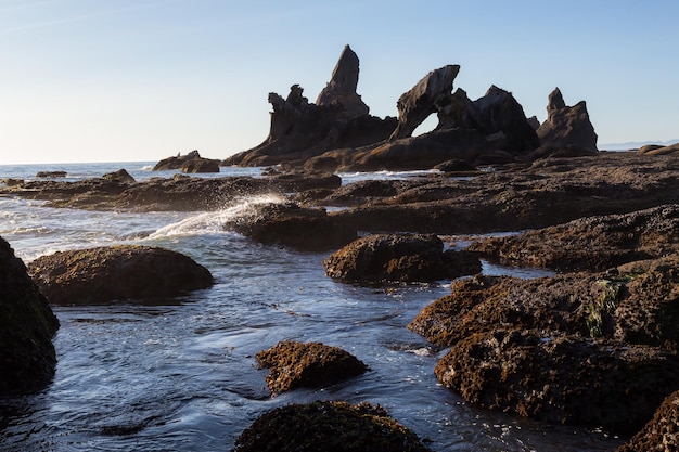 Sfondo della natura americana Spiaggia rocciosa sulla costa occidentale dell'Oceano Pacifico