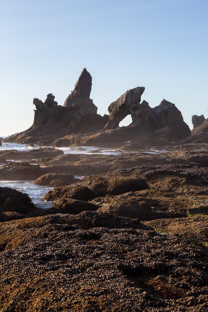 Sfondo della natura americana Spiaggia rocciosa sulla costa occidentale dell'Oceano Pacifico