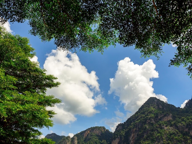 Sfondo della natura. Lo spazio vuoto sul cielo azzurro e sullo sfondo della nuvola bianca circonda con un albero verde e una montagna, vista da sotto l'albero in una giornata di sole.