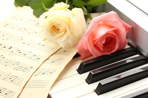 Sfondo della tastiera del pianoforte con le rose