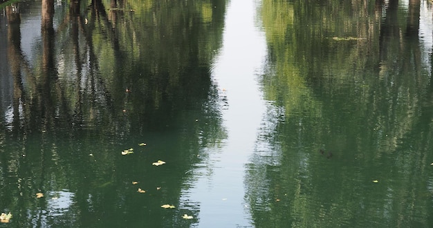 Sfondo di acqua di fiume