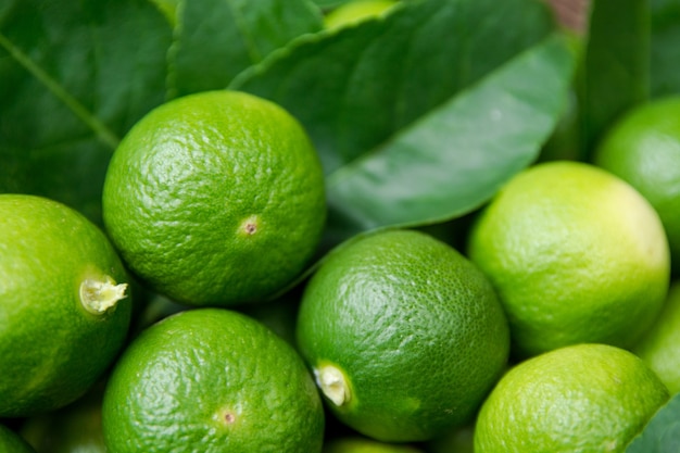 Sfondo di agrumi di calce. Lime fresche e succose. Cibo salutare