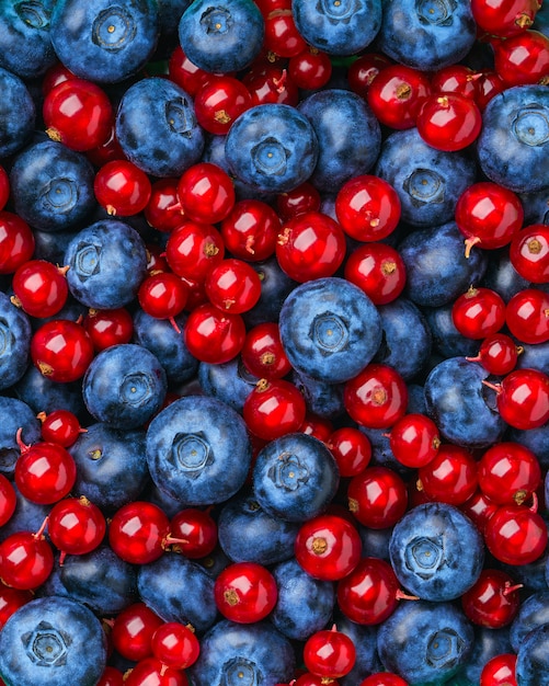 Sfondo di bacche e frutti diversi.