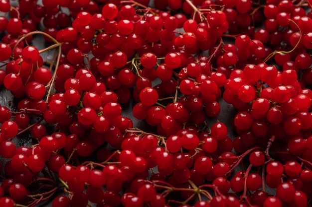 Sfondo di bacche rosse fresche di cibo sano di viburno