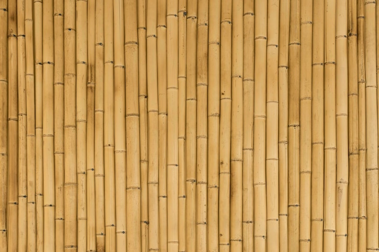 Sfondo di bambù Pianta di bambù di struttura in legno sulla parete decorativa