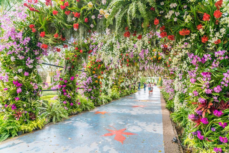 Foto sfondo di bellissimi fiori