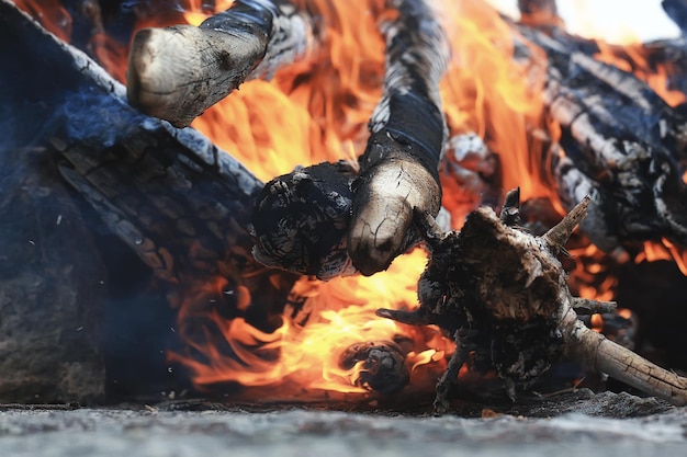 sfondo di carboni di fuoco brucia la legna da ardere dell'albero del fuoco
