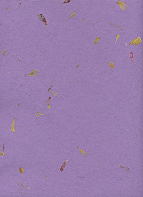 Sfondo di carta viola con piante secche