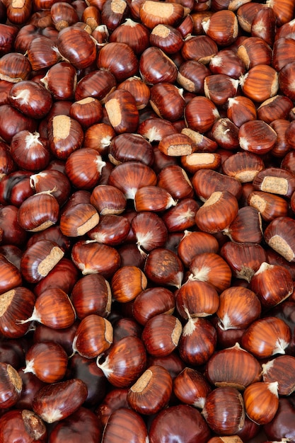 Sfondo di castagne per uno sfondo creativo. Foto verticale