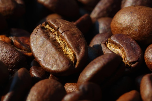 Sfondo di chicchi di caffè tostato