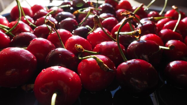 Sfondo di ciliegio Succosa ciliegia matura deliziosa o ciliegia dolce alzato dal lato Frutti estivi e bacche Dieta vitaminica