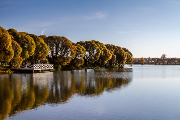 Sfondo di colori autunnali. Molo in legno e alberi autunnali sul lago. Vista mattutina panoramica dello stagno.