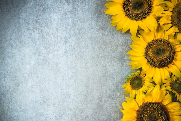 Sfondo di confine di girasoli autunnali