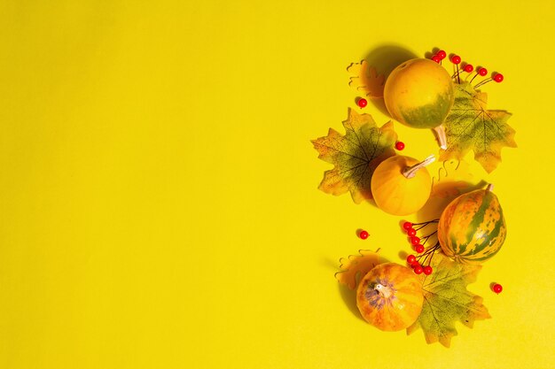 Sfondo di decorazione autunnale con zucche, foglie e bacche. Sfondo giallo pastello brillante, vista dall'alto