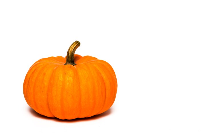 Foto sfondo di decorazione di halloween. isolato