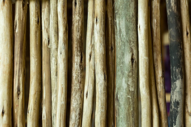 Sfondo di diversi tipi di legno Mazzi di alberi sottili