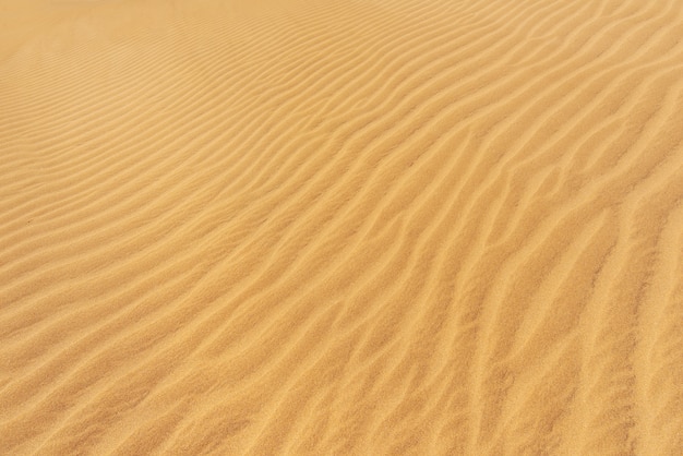 Sfondo di dune di sabbia dorata