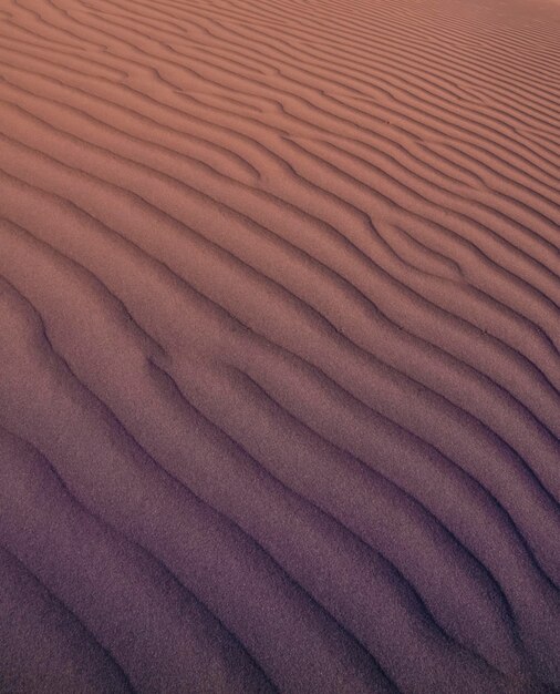 Sfondo di dune
