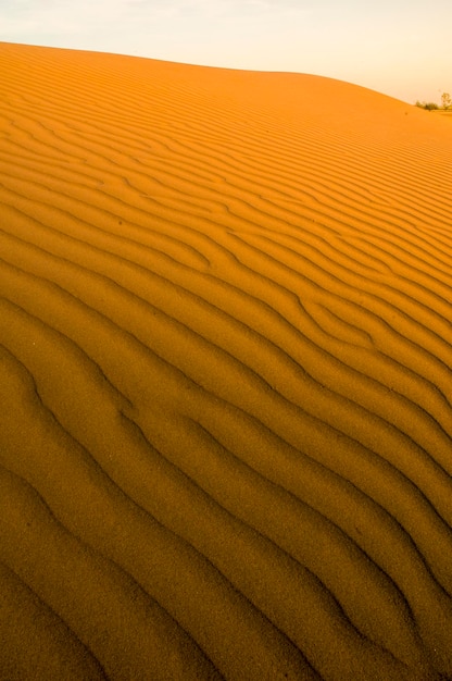 Sfondo di dune