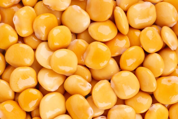 Sfondo di fagioli di lupino giallo marinato. Tournus, lupinus conservato.