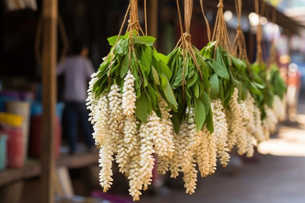 sfondo di fiori di gelsomino