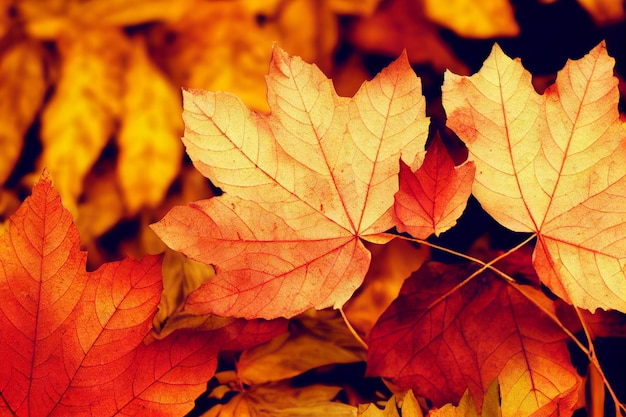 Sfondo di foglie d'autunno