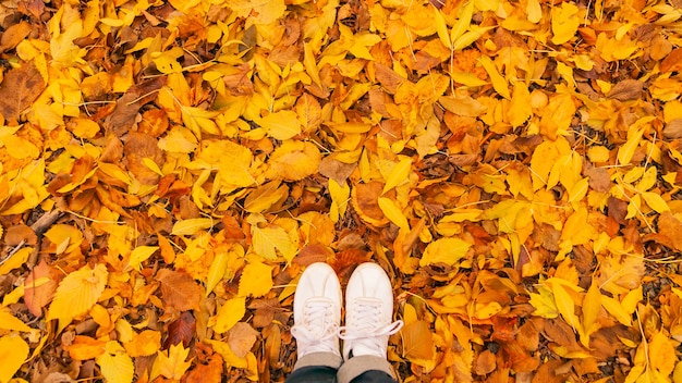 Sfondo di foglie secche autunnali gialle e arancioni stese a terra con scarpe da ginnastica bianche da donna.