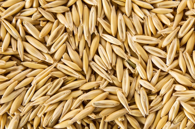 Sfondo di grano d'avena La trama del primo piano di vista dall'alto di semi organici naturali crudi