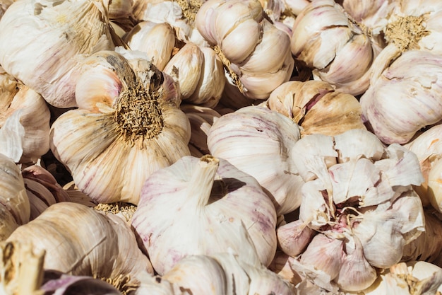 Sfondo di lampadine di aglio bianco. teste di aglio fresco nel mercato. Ingrediente di vitamina per cucinare